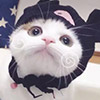 db真人旗舰
