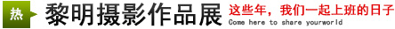 摄影展：这些年，DB真人一起上班的日子