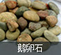 db真人旗舰